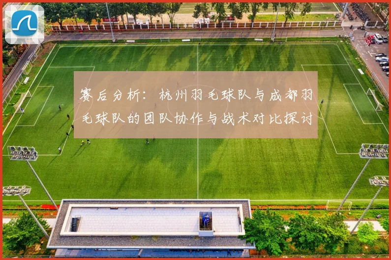 赛后分析：杭州羽毛球队与成都羽毛球队的团队协作与战术对比探讨