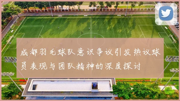 成都羽毛球队意识争议引发热议球员表现与团队精神的深度探讨