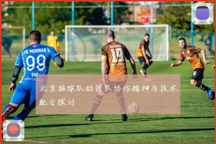北京排球队的团队协作精神与技术配合探讨