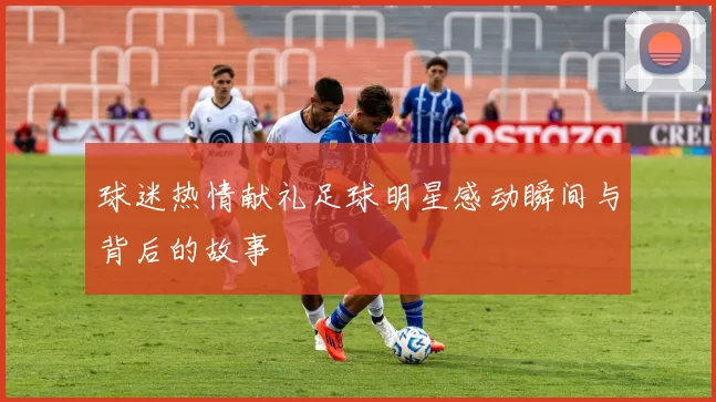 球迷热情献礼足球明星感动瞬间与背后的故事