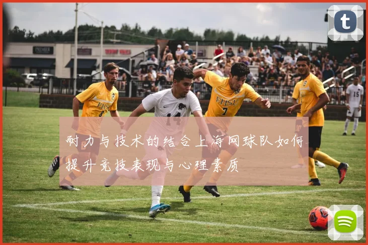 耐力与技术的结合上海网球队如何提升竞技表现与心理素质