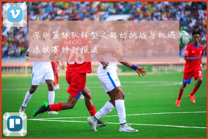 深圳篮球队转型之路的挑战与机遇选拔赛特别报道
