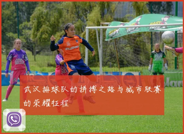 武汉排球队的拼搏之路与城市联赛的荣耀征程