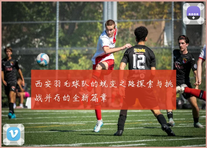 西安羽毛球队的蜕变之路探索与挑战并存的全新篇章