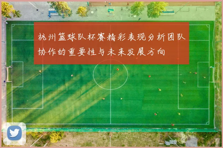 杭州篮球队杯赛精彩表现分析团队协作的重要性与未来发展方向