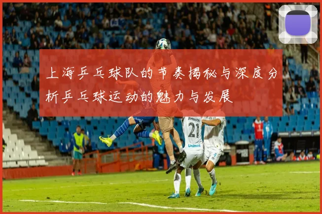 上海乒乓球队的节奏揭秘与深度分析乒乓球运动的魅力与发展