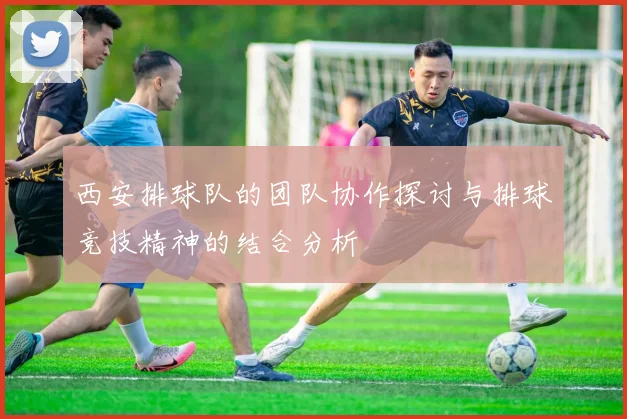 西安排球队的团队协作探讨与排球竞技精神的结合分析