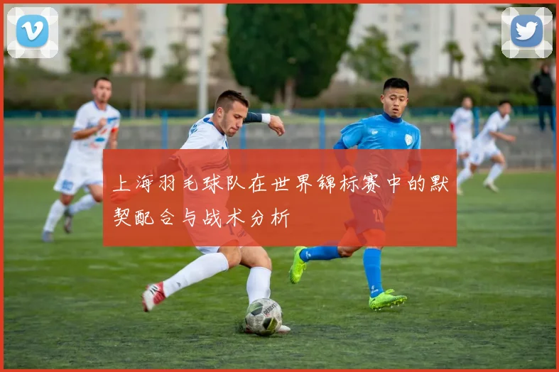 上海羽毛球队在世界锦标赛中的默契配合与战术分析